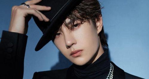 吃瓜娛樂圈張凌赫百度云,揭秘吃瓜群眾的云端追星之旅