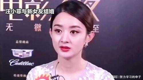 娛樂八卦吃瓜趙麗穎視頻在線觀看,揭秘幕后故事，帶你領略明星風采