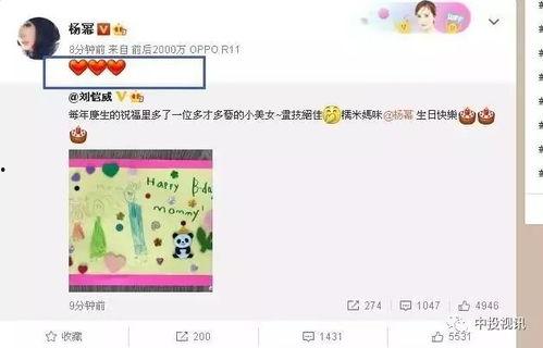 娛樂吃瓜醬生日,生日快樂，揭秘這位娛樂圈“瓜王”的獨(dú)家魅力