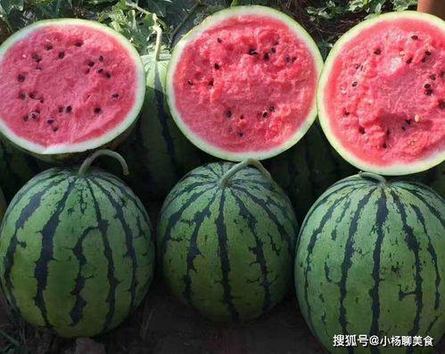 娛樂吃瓜醬不疊被子,揭秘明星不疊被子的秘密生活