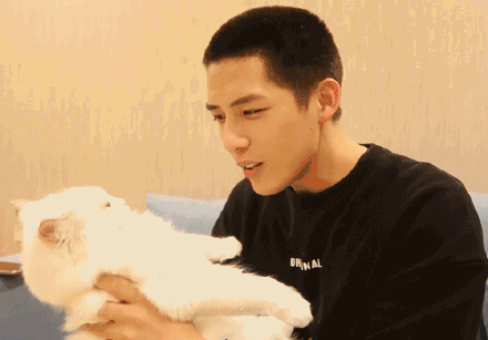 王安宇?yuàn)蕵?lè)吃瓜,幕后故事與精彩瞬間