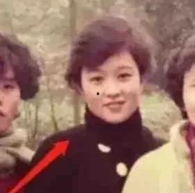 娛樂圈中年吃瓜少女,揭秘中年吃瓜少女生存法則