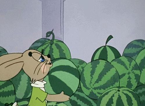 全球吃瓜娛樂,瓜田李下，娛樂盛宴