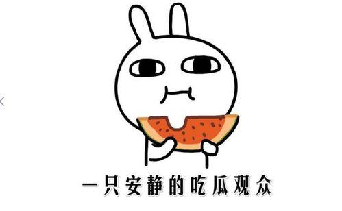 娛樂吃瓜醬相處方式,輕松相處的快樂秘籍