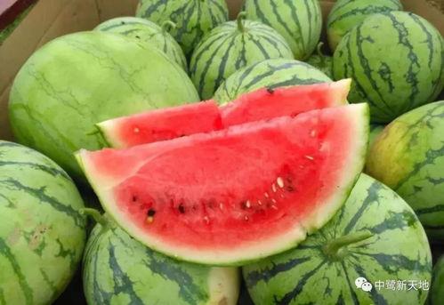 娛樂(lè)園吃瓜,揭秘明星幕后故事