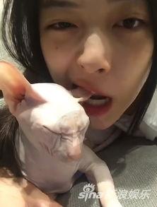 娛樂(lè)吃瓜醬虐貓博主,揭秘網(wǎng)絡(luò)暴力背后的真相