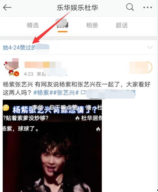 娛樂吃瓜視頻模板,明星幕后故事大揭秘，吃瓜群眾必看！