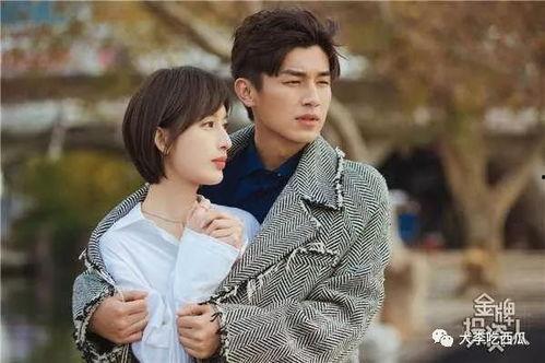 娛樂(lè)吃小瓜楊旭文,娛樂(lè)吃瓜背后的成長(zhǎng)與蛻變