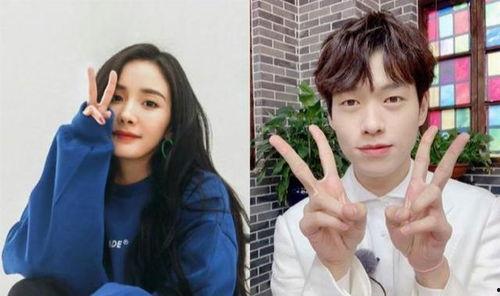 吃瓜翻車娛樂圈,揭秘明星背后的真相與風波