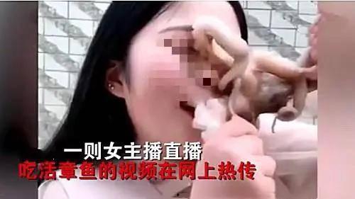 娛樂吃瓜醬的作品真誠(chéng)才是必殺計(jì),娛樂吃瓜醬的“必殺計(jì)”揭秘