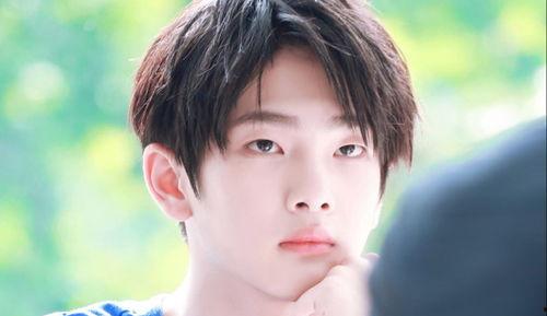 娛樂吃瓜小將王惠小說,娛樂圈的吃瓜小將，揭秘明星背后的故事