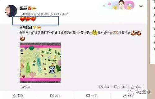 娛樂吃瓜醬過生日,星光熠熠，歡樂滿溢