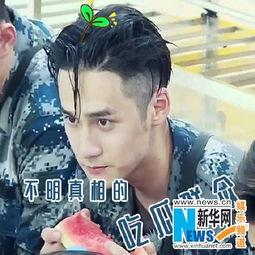 吃瓜娛樂圖片頭像男,揭秘吃瓜娛樂界男星風(fēng)采