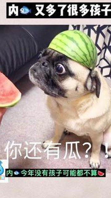 娛樂吃瓜寶寶,揭秘娛樂圈那些不為人知的幕后故事