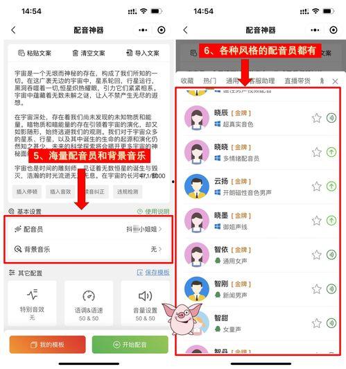 娛樂吃瓜音效軟件哪個(gè)好,哪個(gè)是你的最佳選擇？