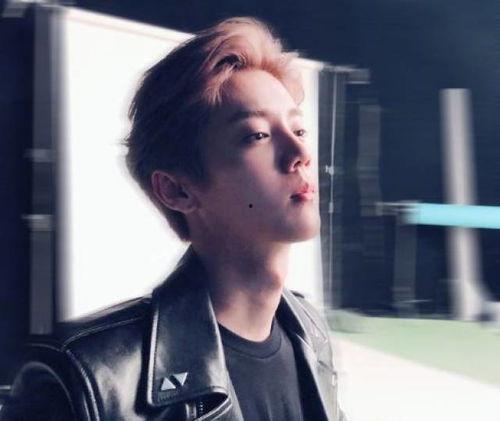 吃瓜娛樂圈鹿晗是誰,娛樂圈的瓜中明星