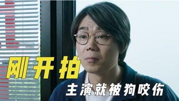 娛樂吃瓜君投票,最受歡迎明星榜單大揭秘！