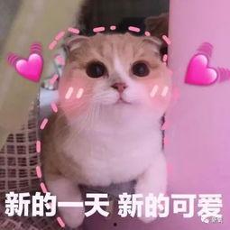 羊了個(gè)羊吃瓜娛樂(lè),吃瓜娛樂(lè)背后的網(wǎng)絡(luò)狂歡