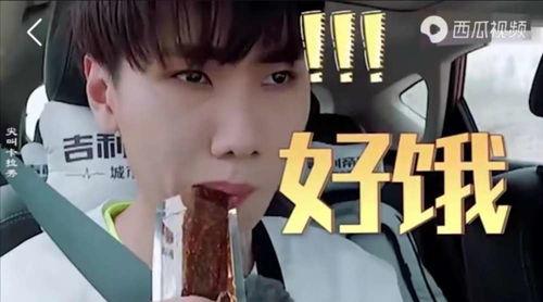 愛豆吃瓜娛樂醬肖宇梁,愛豆吃瓜娛樂醬，揭秘娛樂圈幕后故事