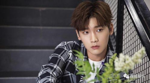 愛豆吃瓜娛樂醬肖宇梁,愛豆吃瓜娛樂醬，揭秘娛樂圈幕后故事