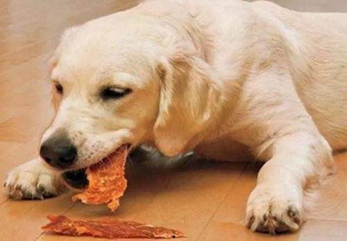 娛樂吃瓜醬埋狗,揭秘娛樂圈背后的“埋狗”真相