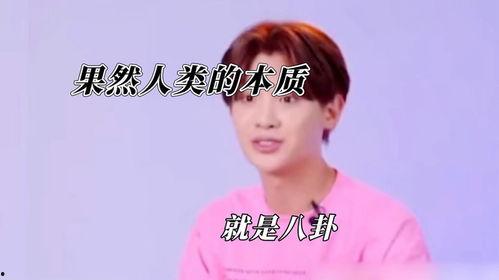 小賈娛樂圈里吃瓜,揭秘明星幕后那些事兒