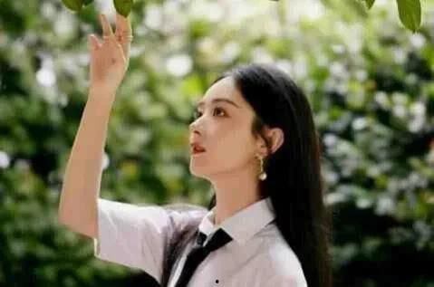 娛樂(lè)圈頂流吃瓜小說(shuō),瓜田里的璀璨星辰