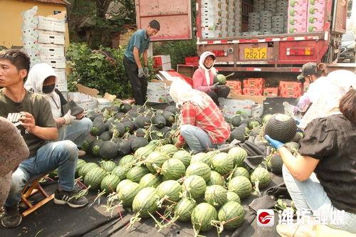 湖南娛樂(lè)吃瓜在一線(xiàn),揭秘娛樂(lè)圈背后的故事
