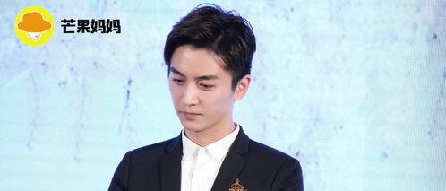 娛樂(lè)圈吃瓜情報(bào)局陳曉,娛樂(lè)圈吃瓜情報(bào)局揭秘，明星背后的故事